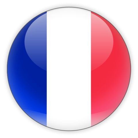 French flag icon from freeiconspng.com